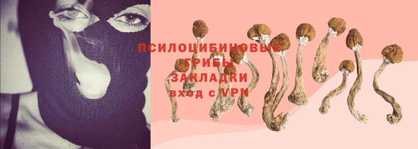 ALPHA PVP Волоколамск